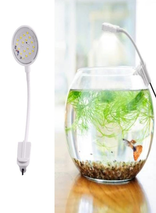 مصباح حوض السمك الصغير VAYINATO® متعدد الأوضاع WRGB قابل للتعديل بمشبك من Petzlifeworld - Image 4